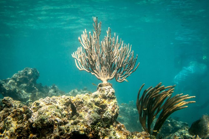 Icacos Deserted Island Catamaran, Snorkel, and Picnic Cruise - Boat comfort and facilities