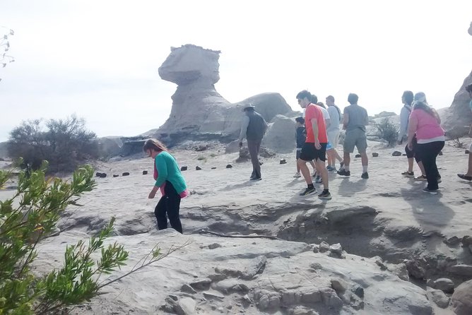 Ischigualasto National Park - Moon Valley - Four hours among cliffs, boulders, and fossil country