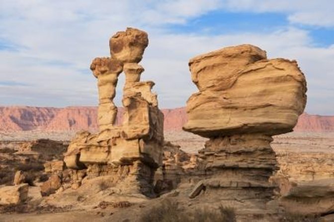 Ischigualasto National Park - Moon Valley - Booking details that deserve attention