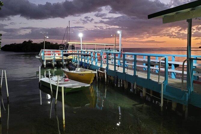 La Parguera Bio Bay Boat Ride and Swimming w/ San Juan Transport - Swimming Among the Sparks