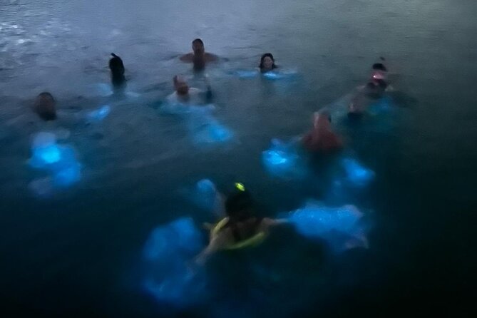 La Parguera Bio Bay Boat Ride and Swimming w/ San Juan Transport - Is $54.99 a Good Value?