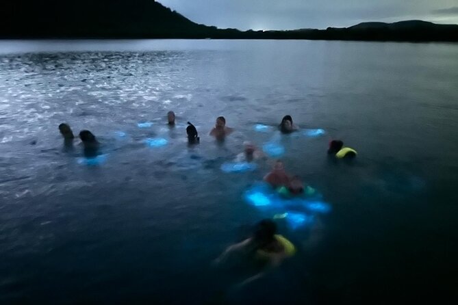 La Parguera Bio Bay Boat Ride and Swimming w/ San Juan Transport - The Long Ride From San Juan to Lajas