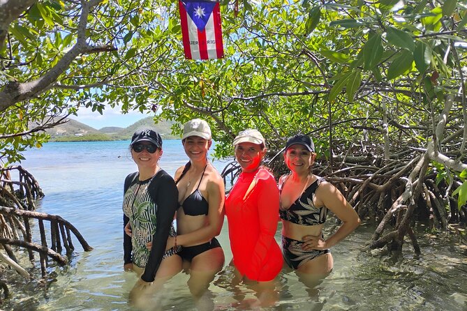 La Parguera Boat Charter with Captain: Kayak & Snorkel - How the $75 price measures up