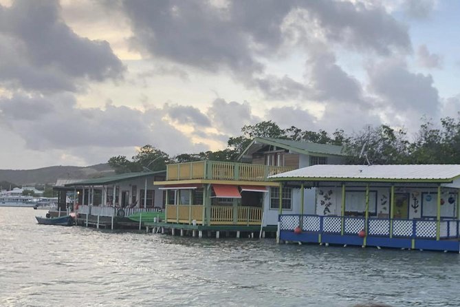 La Parguera Glowing Bioluminescent Bay Boat Tour from San Juan - How the schedule usually unfolds