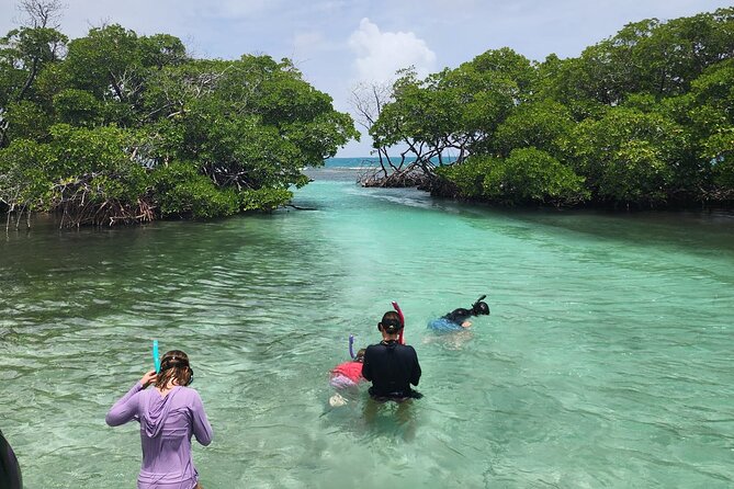 La Parguera Private Boat Charter - Mata La Gata and Cayo Enrique for more choices