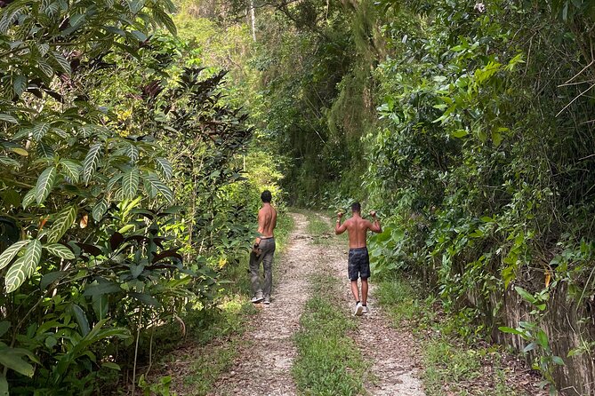 Largest Natural Waterslide, River Hike and Beach Tour in Arecibo - Why the Tanama River is worth the long day