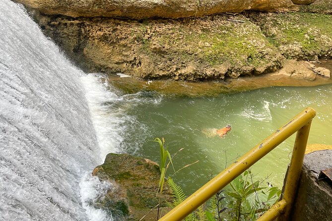 Largest Natural Waterslide, River Hike and Beach Tour in Arecibo - Who will enjoy this outing most
