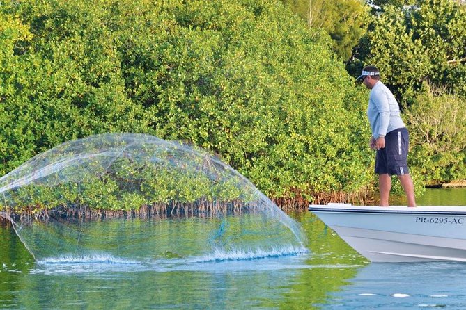 Light Tackle Tarpon Fishing - Fishing San Juan’s Torrecilla and San Jose Lagoons