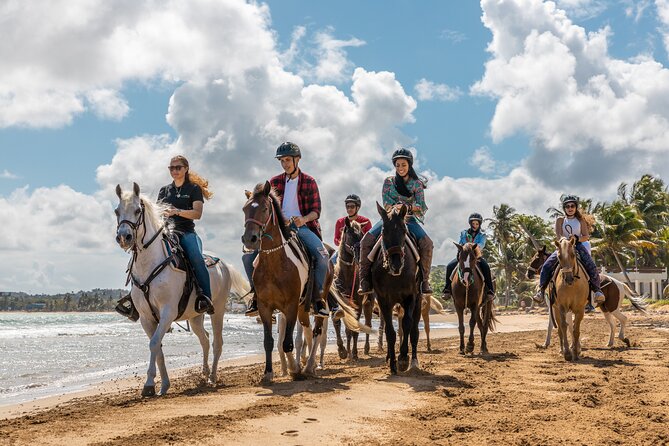 Luquillo Beach Horse Ride from Carabalí Rainforest Adventure Park - Is $164 a fair price?