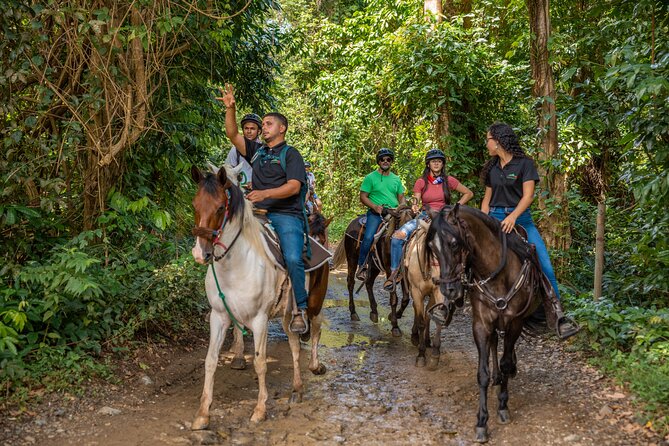 Luquillo Beach Horse Ride from Carabalí Rainforest Adventure Park - Arriving at Luquillo Beach by horseback