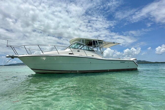 Luxury Private Tour to Fajardo Keys—Snorkeling & Island Adventure - Timing, meeting point, and the return to Fajardo