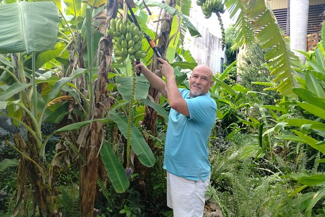 Modern Puerto Rican Cooking Class in a Historic San Germán Home - Meeting Chef Tony and choosing the menu