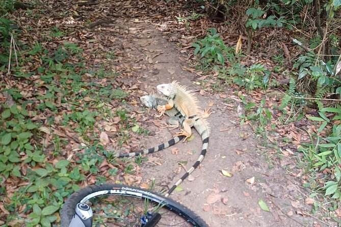 Mountain Bike tour to a Pristine Spring and Cave - Refreshments are modest but well chosen