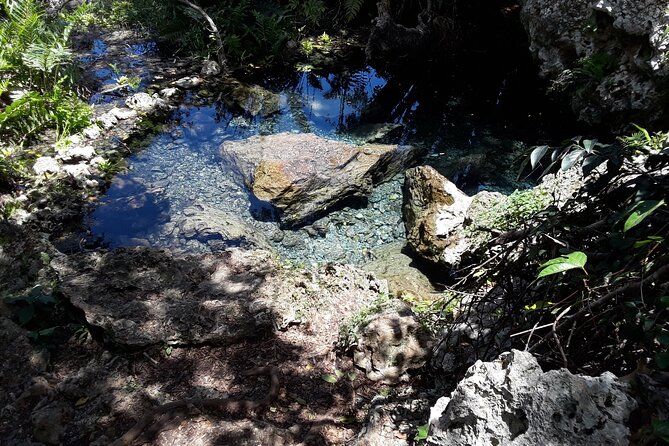 Mountain Bike tour to a Pristine Spring and Cave - Timing, cancellation, and practical planning