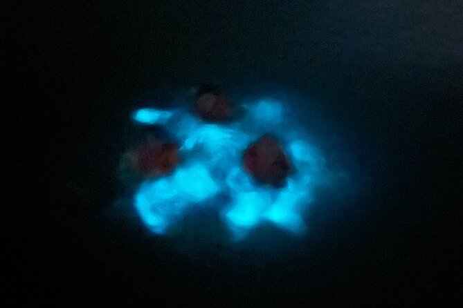Mystic Waters A Bioluminescent Night Tour - Why the optional swimming policy matters