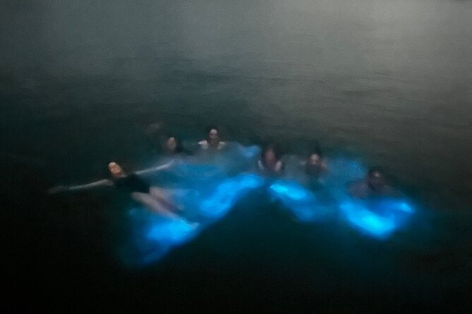 Mystic Waters A Bioluminescent Night Tour - Is $65 a fair price?