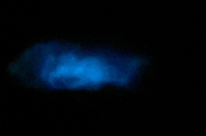 Mystic Waters A Bioluminescent Night Tour - Weather, water conditions, and realistic expectations