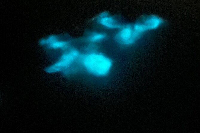 Mystic Waters A Bioluminescent Night Tour - Seeing the bioluminescent bay from the water