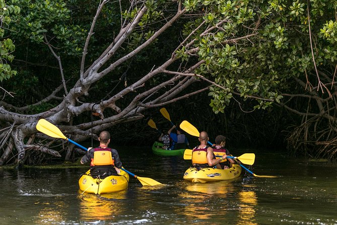 Night Kayaking Experience on Bioluminescent Lagoon in Fajardo - Why Laguna Grande is worth seeing at night