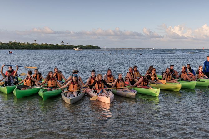 Night Kayaking Experience on Bioluminescent Lagoon in Fajardo - Paddling through the mangrove channels