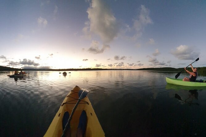 Night Kayaking Experience on Bioluminescent Lagoon in Fajardo - Reaching the glowing water