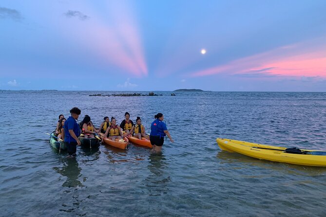 Night Kayaking Experience on Bioluminescent Lagoon in Fajardo - Accessibility and physical requirements