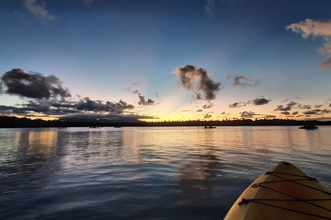 Night Kayaking Experience on Bioluminescent Lagoon in Fajardo - What the $79 price really includes