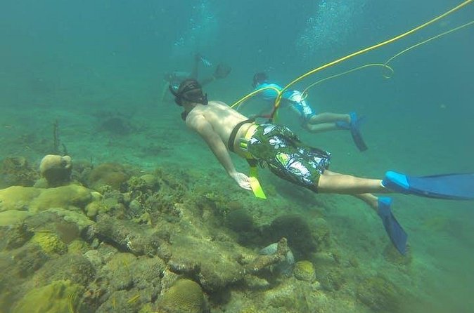 OCTOPUS DIVING (hookah diving) NO Experience Needed - The one-hour beach briefing at Steps Beach