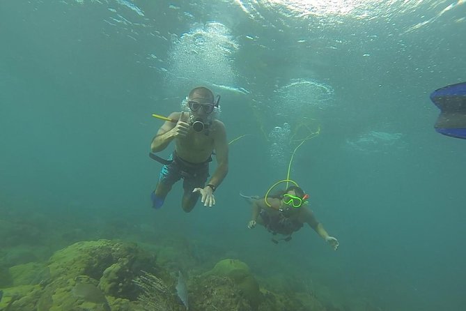 OCTOPUS DIVING (hookah diving) NO Experience Needed - Why the small group changes the experience
