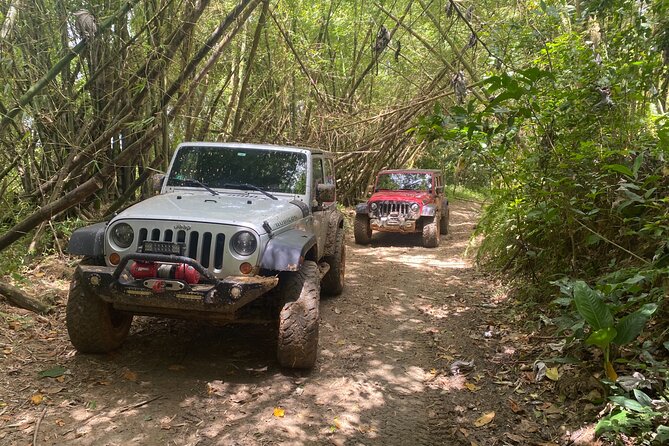 Off-Road Jeep Adventure from Carolina - Key points to know before you book