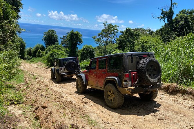 Off-Road Jeep Adventure from Carolina - Why this Jeep trip feels different from a standard rainforest tour