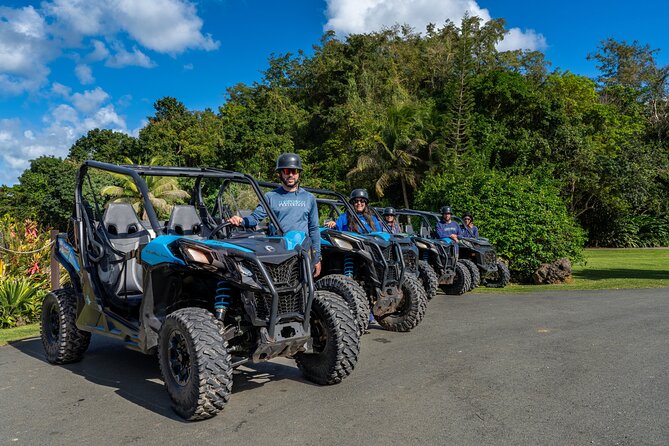 Off-Road UTV Tour : Explore Puerto Rico minutes from San Juan - The details that shape your ride