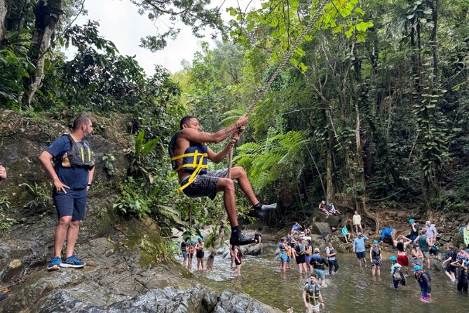"Off the beaten path" Rain Forest Guided hike with Transportation - A Different Side of El Yunque