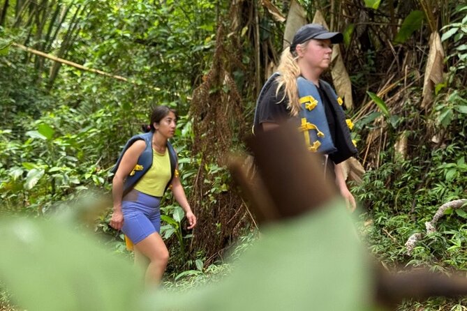 "Off the beaten path" Rain Forest Guided hike with Transportation - What the Trail May Really Feel Like