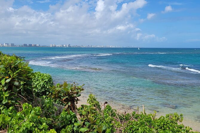Old San Juan and Piñones Sightseeing Experience! - Moving on to Piñones and Loíza