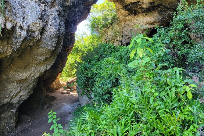 Old San Juan and Piñones Sightseeing Experience! - What past outings have included