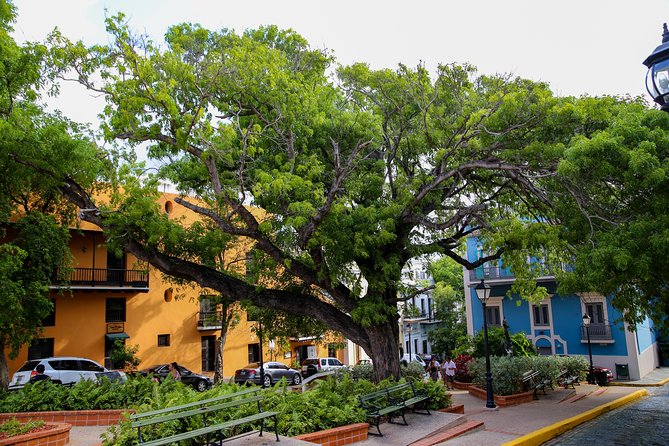 Old San Juan and Rum Factory Full-Day Tour: Minimum 8+ people - Arriving at Ron del Barrilito in Bayamón