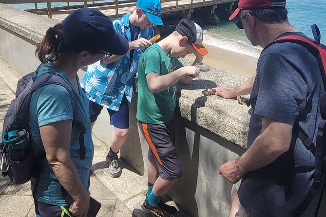 Old San Juan Family Fun Tour: Science/History/ Yummy treats - La Princesa and the old city’s seafront