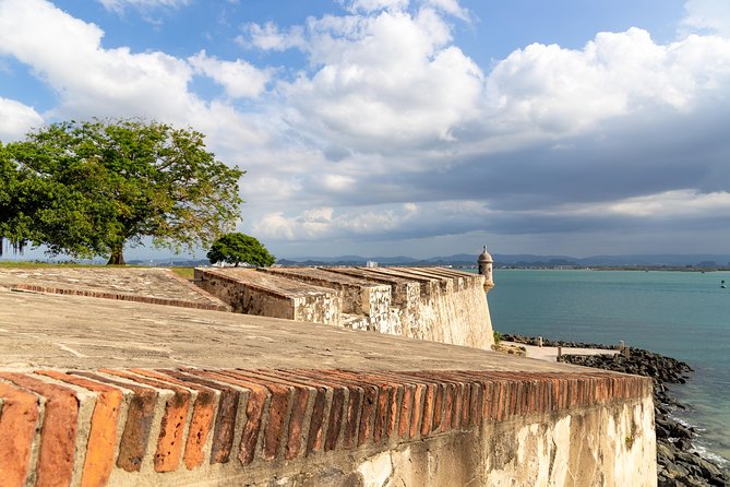 Old San Juan Walking Tour with Fort: 8+ people group - Who should book this Old San Juan tour