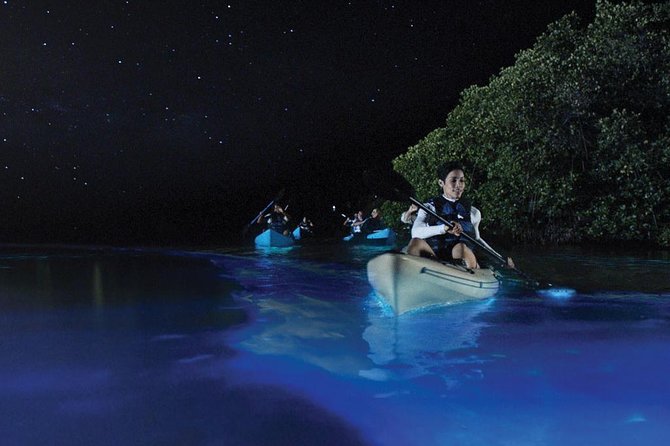 Overnight Bio Bay Kayak Tour in Vieques Island - Key points before you book