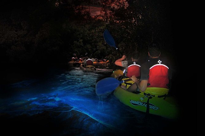 Overnight Bio Bay Kayak Tour in Vieques Island - Why Vieques Bio Bay is worth the effort