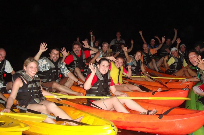 Overnight Bio Bay Kayak Tour in Vieques Island - Price and what the $65.99 covers