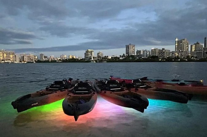 Paddle & Glow LED Kayaking - Should You Book Paddle & Glow LED Kayaking?