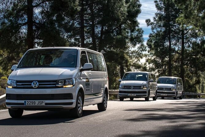 Panorama VIP Tour in Gran Canaria - Tejeda offers plants, views, and a proper village stop