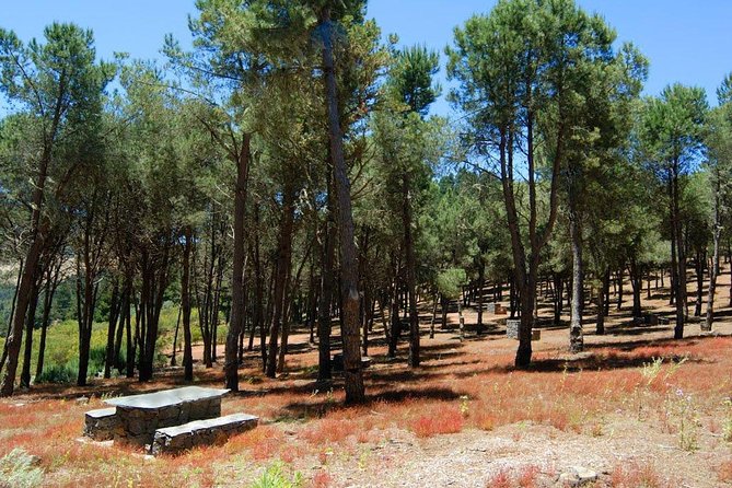 Panorama VIP Tour in Gran Canaria - Artenara and Barranco Hondo show another way of living