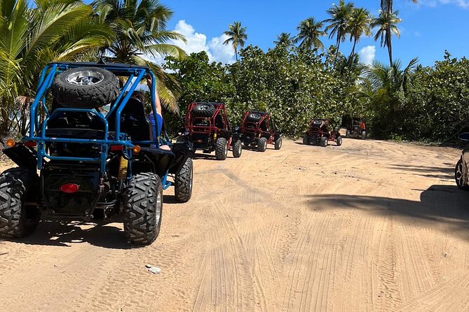 Piñones Beach Buggy + El Yunque Waterfall Adventure - What the guides add to the day