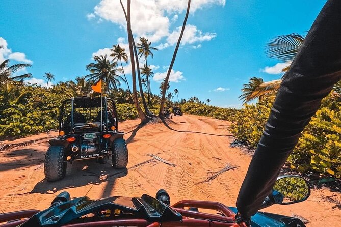 Piñones Beach Buggy + El Yunque Waterfall Adventure - Rolling through Piñones and Loíza