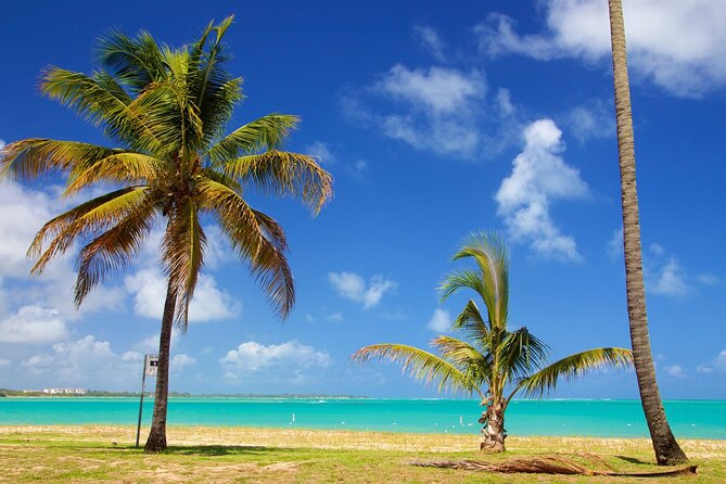 PR Chinchorreo-Beach and Bar Hopping Tour - Patillas, local bites, and the Caribbean view