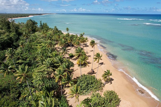 PR Chinchorreo-Beach and Bar Hopping Tour - The west-coast version: Crashboat Beach and beyond