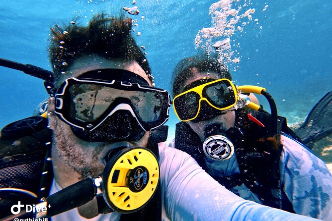 Private 2-Tank Dive with PADI Instructor for Certified Divers - Why this Fajardo two-tank trip works well